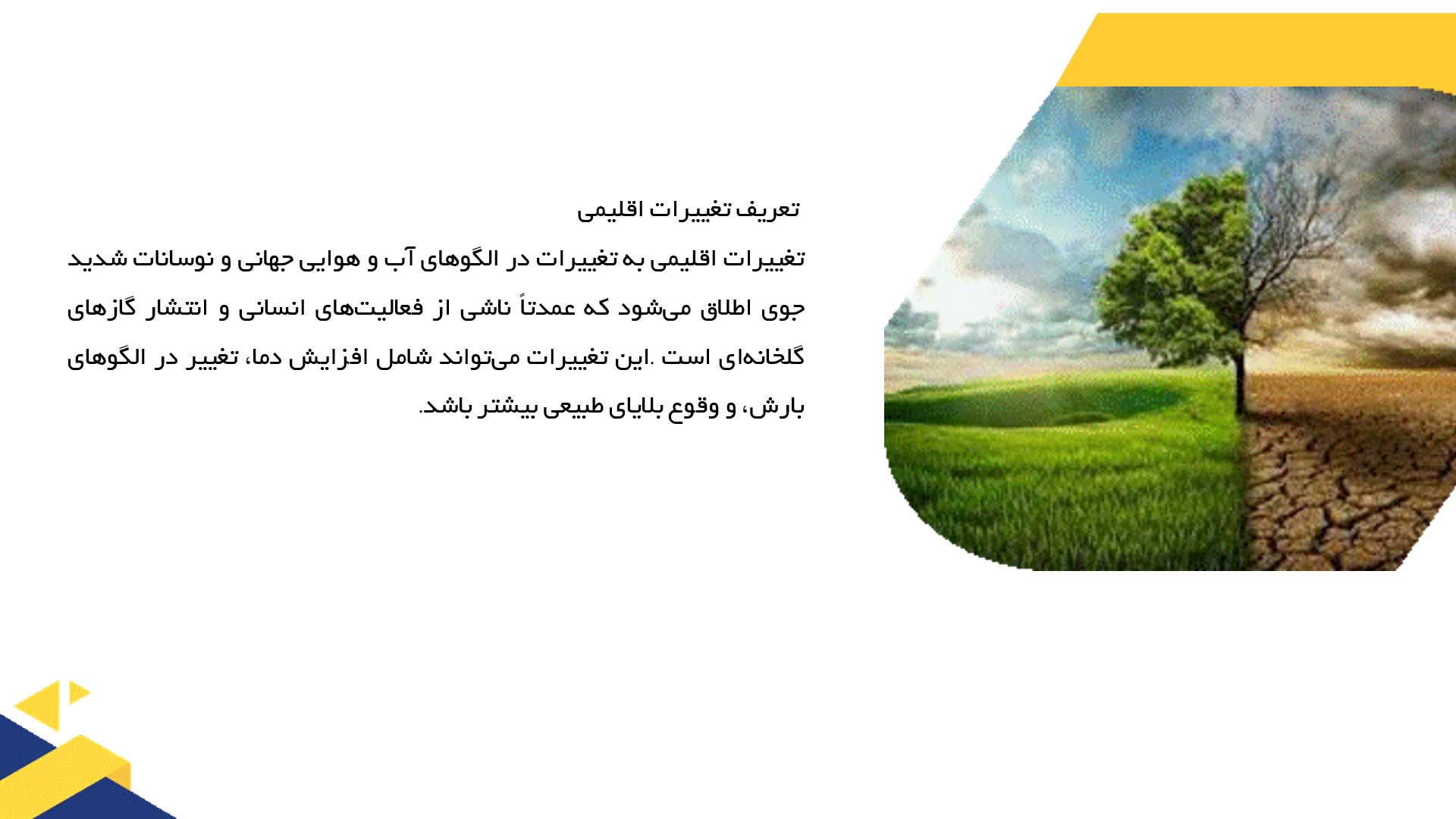 پاورپوینت در مورد تأثیرات تغییرات اقلیمی بر جنگل‌ها